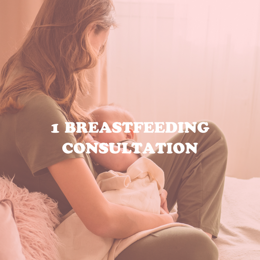 1 Breastfeeding Consultation- Hala Sahili