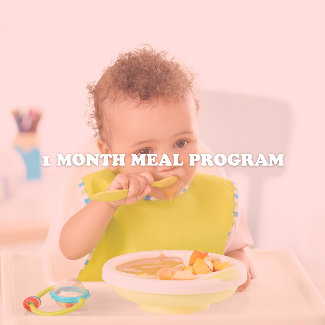 1 Month Meal Preparation (consultation) - Yasmina Dakik Ahmad